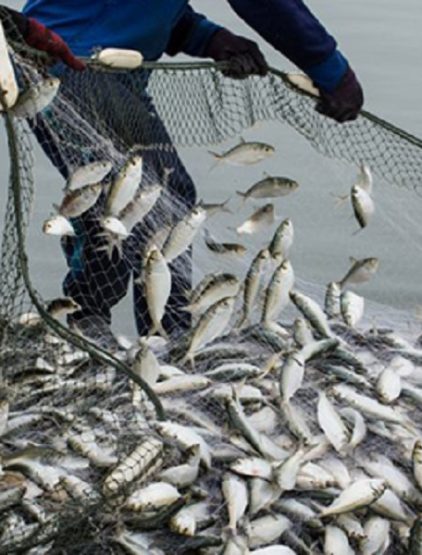 Sites de pêche artisanale