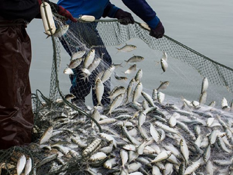 Sites de pêche artisanale 0